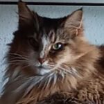 Profile photo of Raquel