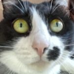 Profile photo of Patricia