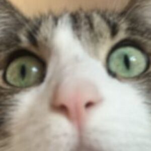 Profile photo of Paqui