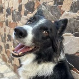 Profile photo of María López urbano