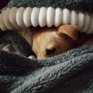 Profile photo of Lorena Gallego Aguilera